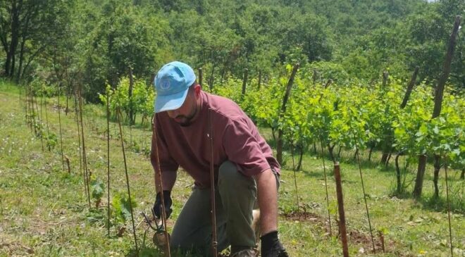 Predsjednik Crne Gore se vraća korijenima: Okopava voćke i uživa u radu